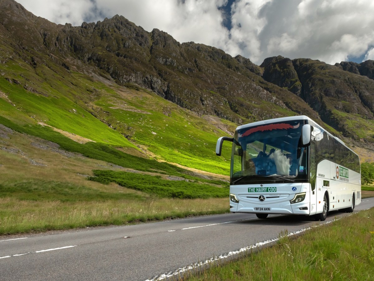 Hairy Coo white coach by Scottish mountains